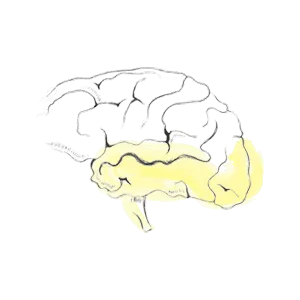 как работят AI търсачките и генеративните отговори