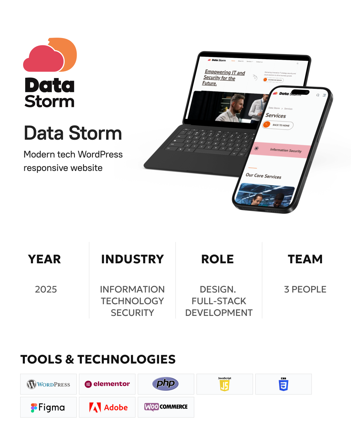Data Storm