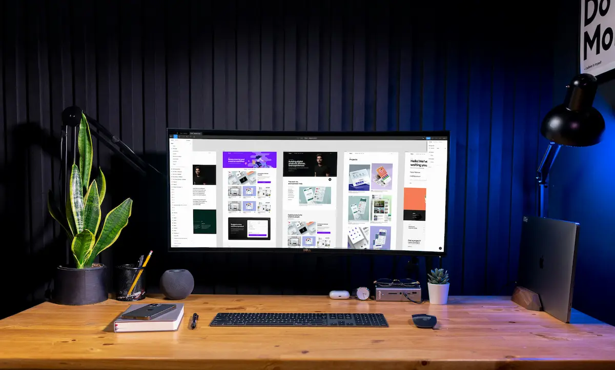 Professional website creation